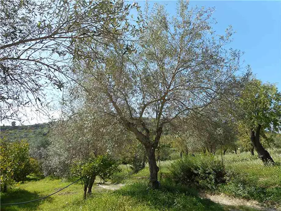 Immagine 7 di Terreno in vendita  in Via CDA PORTELLI, SN a Noto
