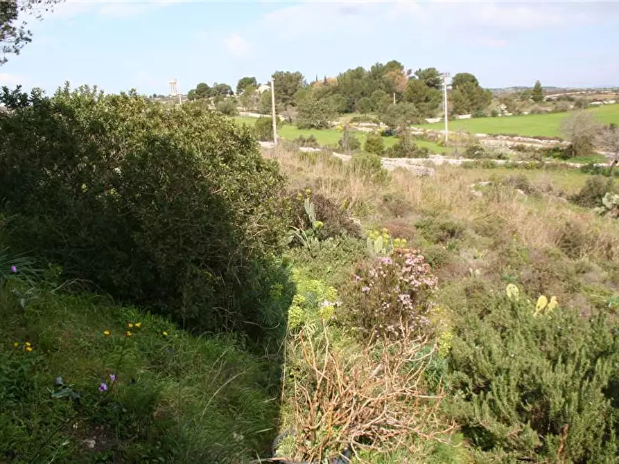 Immagine 7 di Villa in vendita  in Via SOLDATO GALLO, SN a Noto