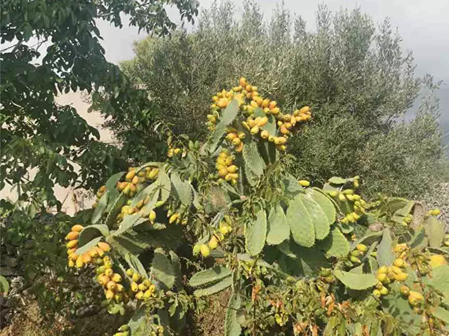 Immagine 10 di Rustico / casale in vendita  in Loc. Contrada Testa dell'Acqua, sn a Noto