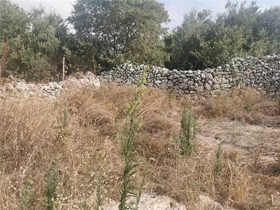 Immagine 7 di Rustico / casale in vendita  in Loc. Contrada Testa dell'Acqua, sn a Noto