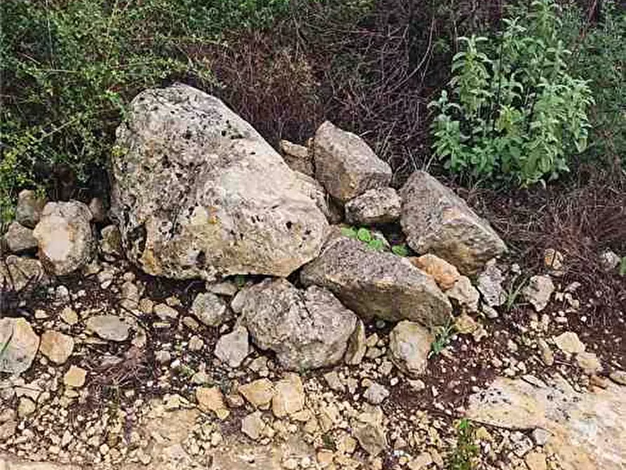 Immagine 10 di Terreno in vendita  in Loc. lenzavacche a Noto