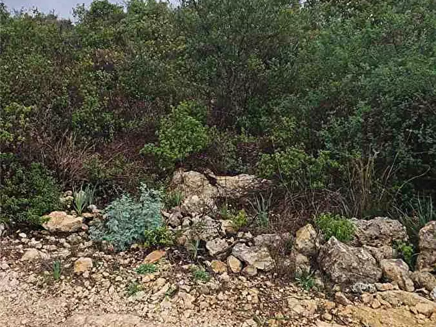 Immagine 11 di Terreno in vendita  in Loc. lenzavacche a Noto