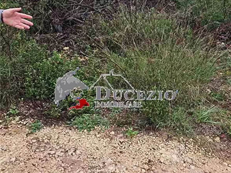 Immagine 6 di Terreno in vendita  in Loc. lenzavacche a Noto
