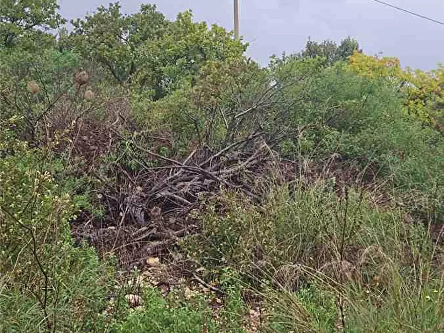 Immagine 7 di Terreno in vendita  in Loc. lenzavacche a Noto