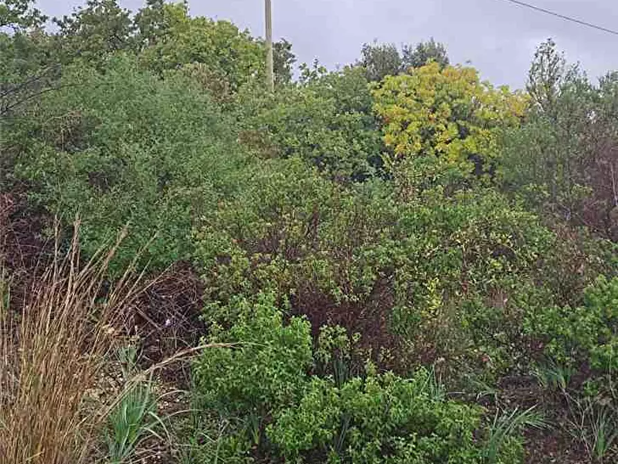 Immagine 8 di Terreno in vendita  in Loc. lenzavacche a Noto