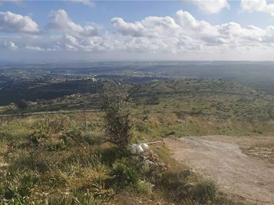 Immagine 11 di Terreno in vendita  in Via SANT ELIA san corrado di a Avola
