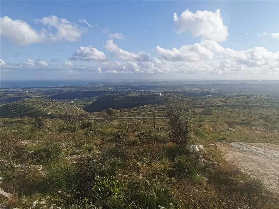 Immagine 12 di Terreno in vendita  in Via SANT ELIA san corrado di a Avola