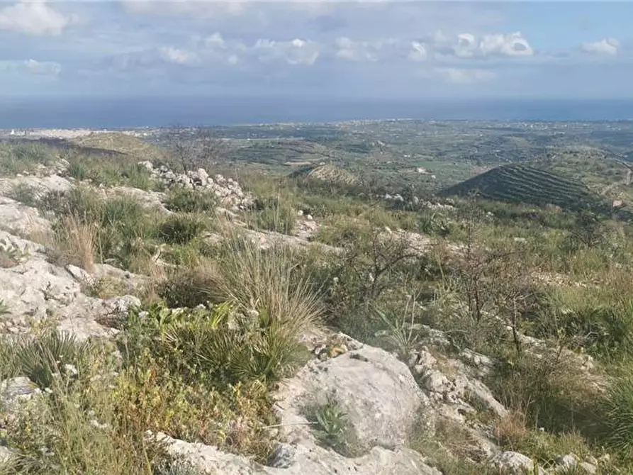 Immagine 13 di Terreno in vendita  in Via SANT ELIA san corrado di a Avola