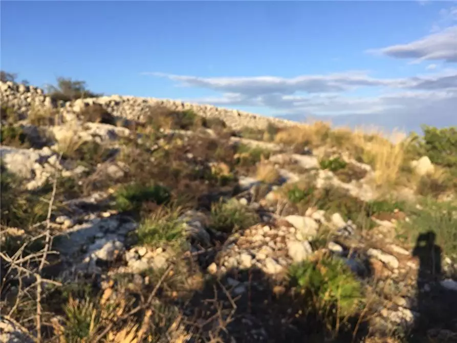 Immagine 2 di Terreno in vendita  in Via SANT ELIA san corrado di a Avola