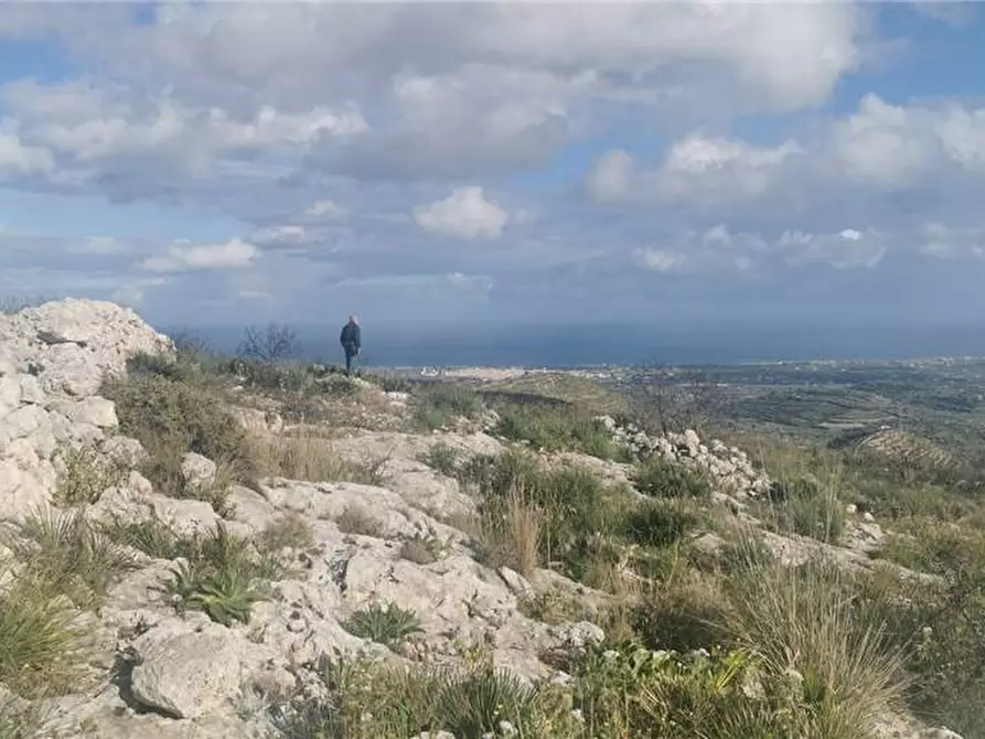 Immagine 6 di Terreno in vendita  in Via SANT ELIA san corrado di a Avola