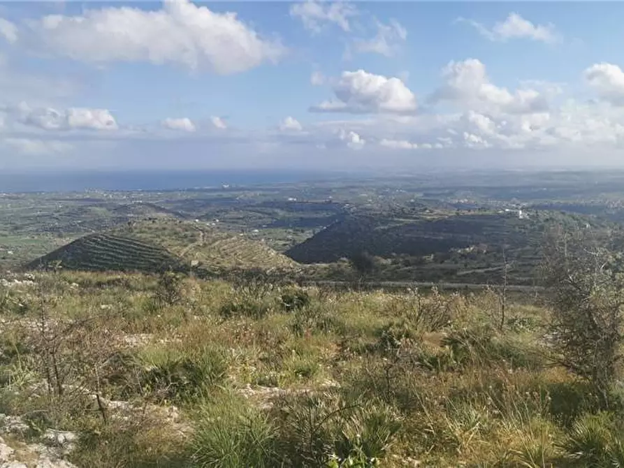 Immagine 7 di Terreno in vendita  in Via SANT ELIA san corrado di a Avola