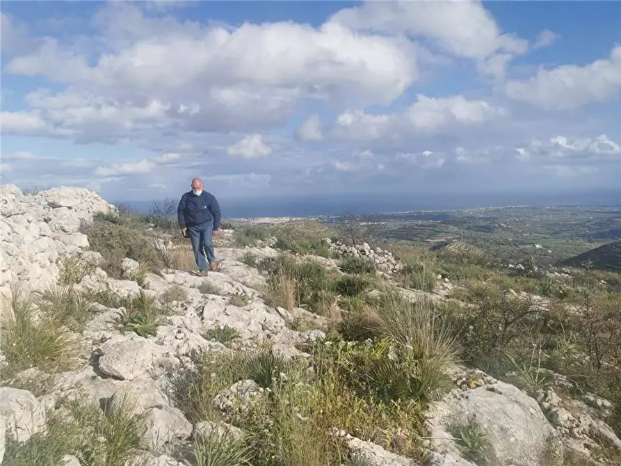 Immagine 8 di Terreno in vendita  in Via SANT ELIA san corrado di a Avola