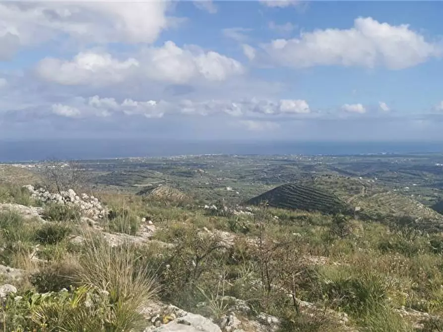 Immagine 9 di Terreno in vendita  in Via SANT ELIA san corrado di a Avola