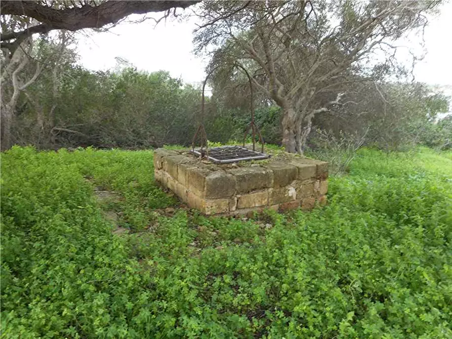 Immagine 4 di Rustico / casale in vendita  in Loc. VENDICARI, sn a Noto