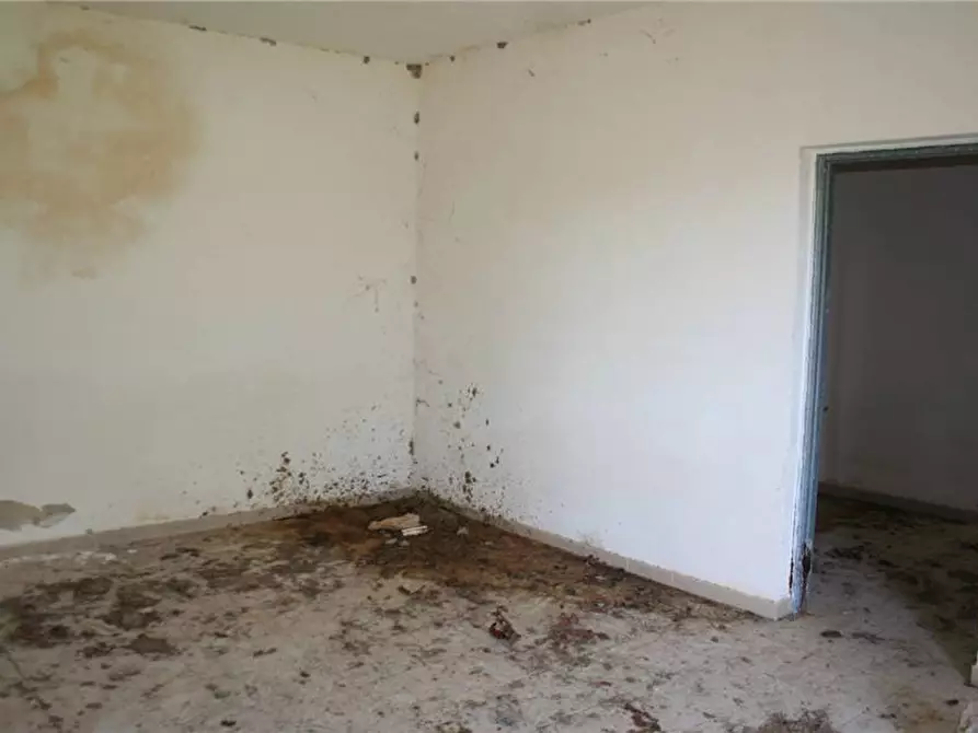Immagine 11 di Rustico / casale in vendita  in Loc. C/DA Renna, sn a Noto