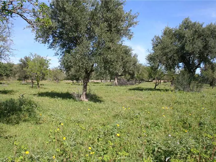 Immagine 4 di Rustico / casale in vendita  in Loc. C/DA Renna, sn a Noto