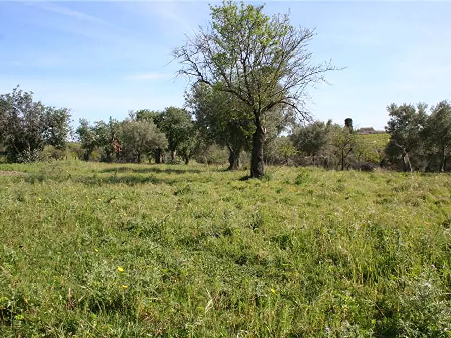 Immagine 5 di Rustico / casale in vendita  in Loc. C/DA Renna, sn a Noto