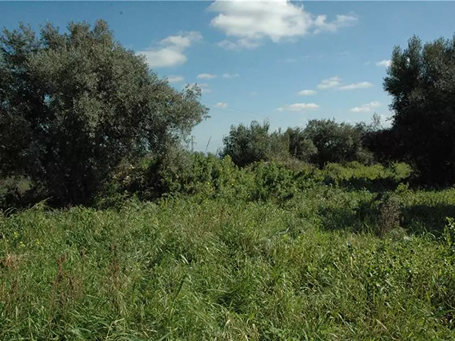 Immagine 10 di Terreno in vendita  in Loc. BOSCO DI SOPRA, 14 a Canicattini Bagni