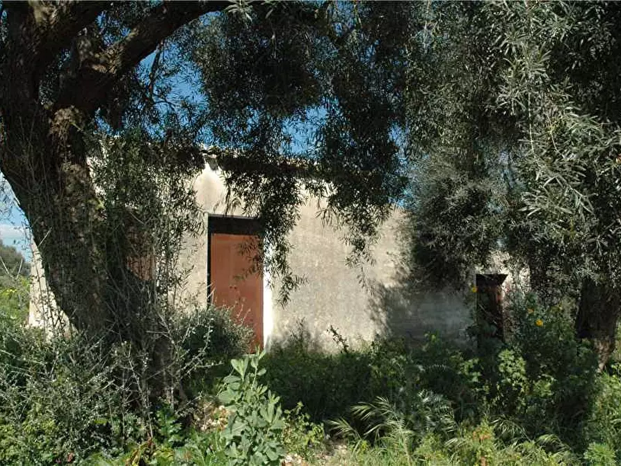 Immagine 9 di Terreno in vendita  in Loc. BOSCO DI SOPRA, 14 a Canicattini Bagni