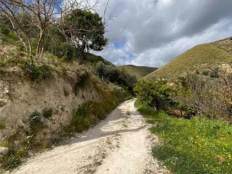 Immagine 4 di Terreno in vendita  in Loc. C/DA FIUMARELLA, SN a Avola