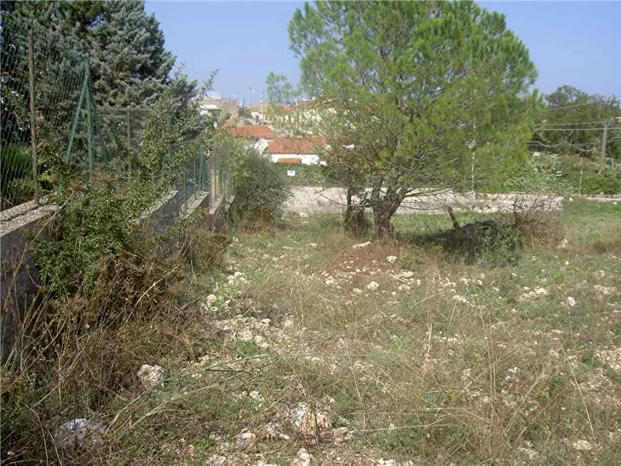 Immagine 10 di Terreno in vendita  in Loc. C/DA TESTA DELL'ACQUA, SN a Noto