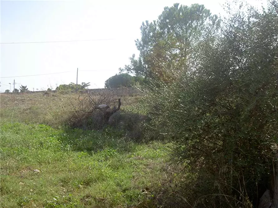 Immagine 5 di Terreno in vendita  in Loc. C/DA TESTA DELL'ACQUA, SN a Noto