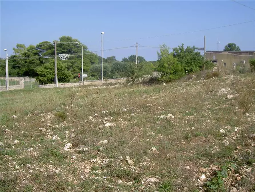Immagine 8 di Terreno in vendita  in Loc. C/DA TESTA DELL'ACQUA, SN a Noto