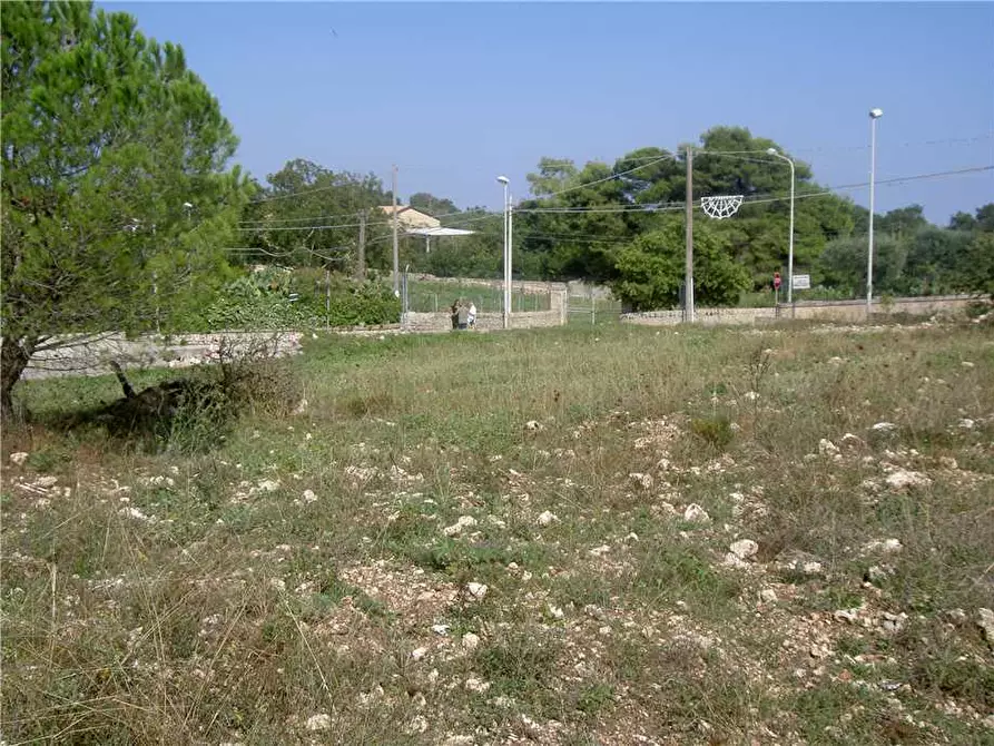 Immagine 9 di Terreno in vendita  in Loc. C/DA TESTA DELL'ACQUA, SN a Noto