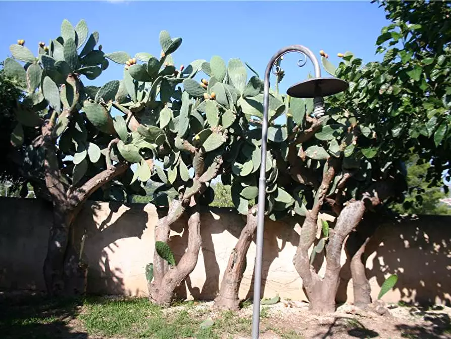Immagine 8 di Villa in vendita  in Loc. C/DA NIURA, SN a Noto
