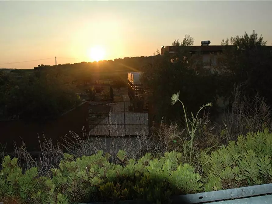 Immagine 5 di Villa in vendita  in Loc. C/DA PIZZUTA, SN a Noto