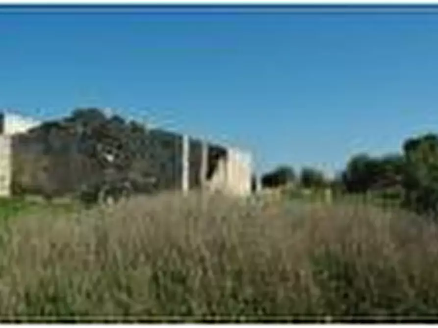 Immagine 3 di Terreno in vendita  in Loc. C/DA STAFENNA a Noto