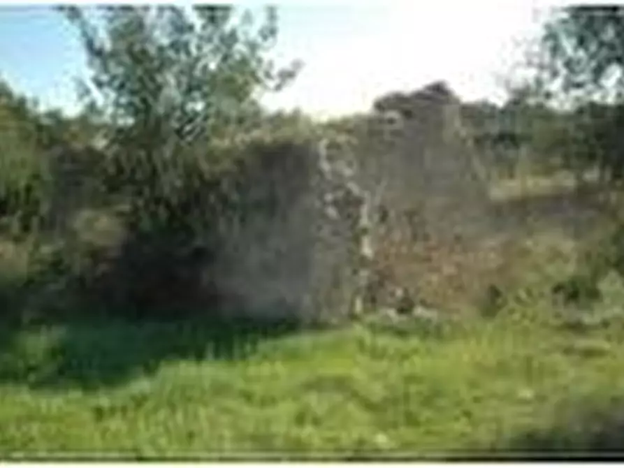 Immagine 5 di Terreno in vendita  in Loc. C/DA STAFENNA a Noto