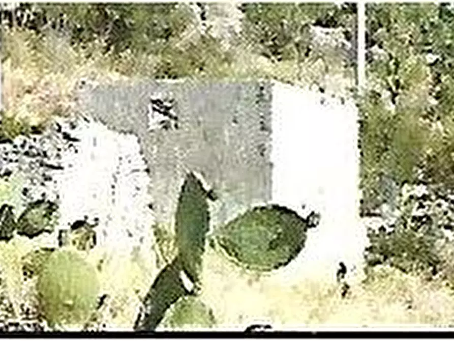 Immagine 2 di Terreno in vendita  in Loc. C/DA METI, SN a Avola