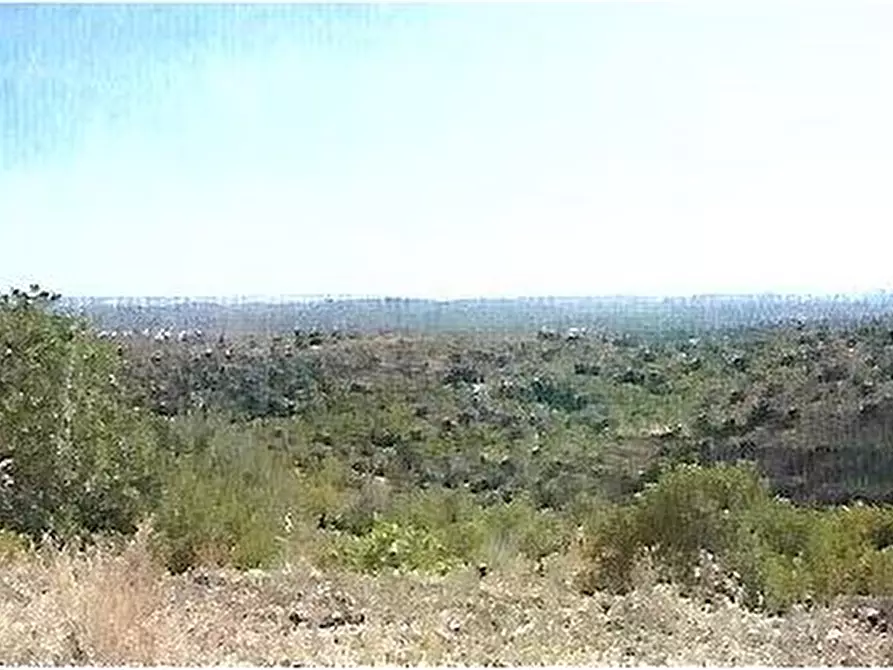 Immagine 3 di Terreno in vendita  in Loc. C/DA METI, SN a Avola