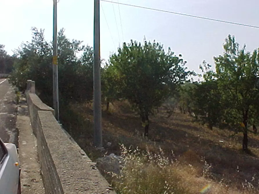 Immagine 5 di Terreno in vendita  in Loc. C/DA METI, SN a Avola