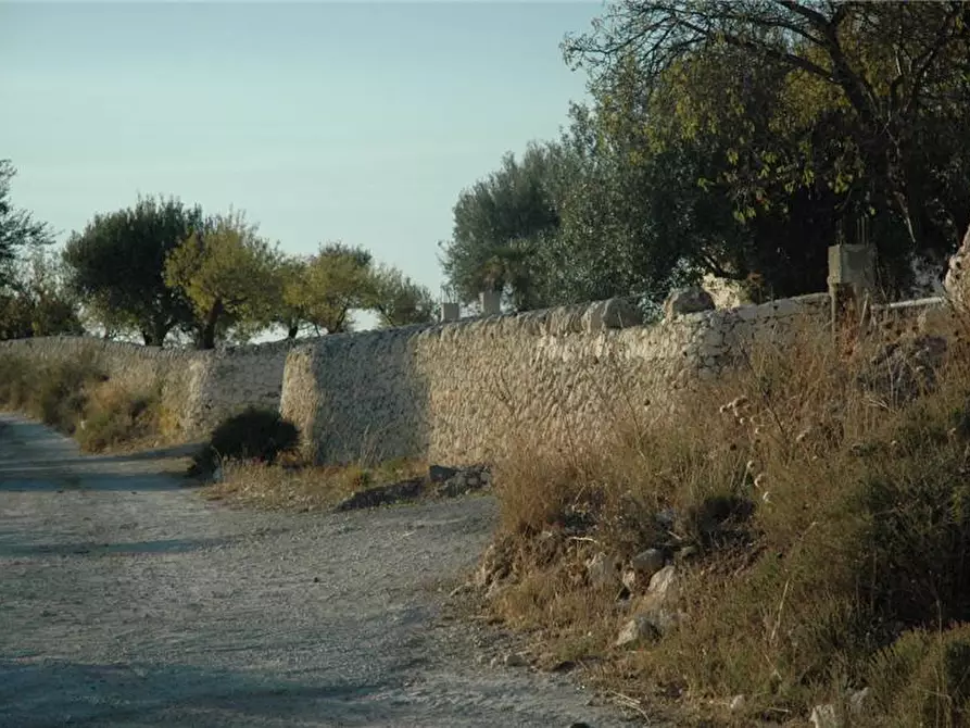 Immagine 10 di Terreno in vendita  in Loc. C/DA GARERI, SN a Pachino