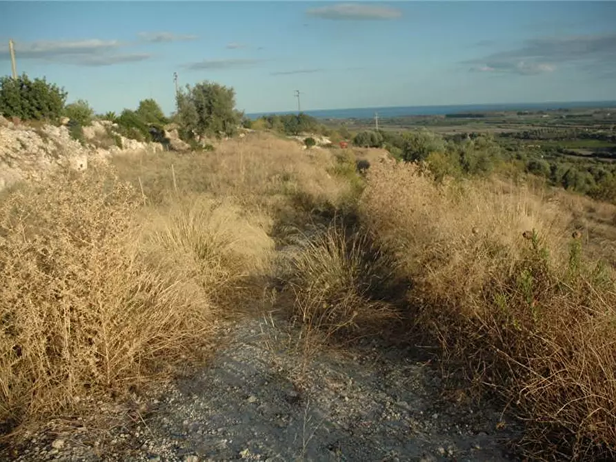 Immagine 4 di Terreno in vendita  in Loc. C/DA GARERI, SN a Pachino