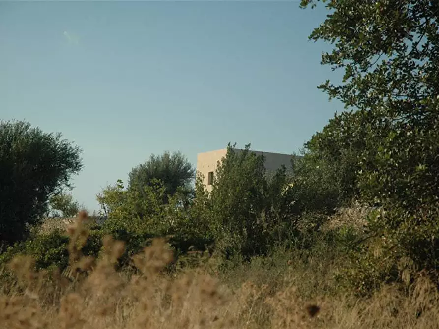 Immagine 6 di Terreno in vendita  in Loc. C/DA GARERI, SN a Pachino