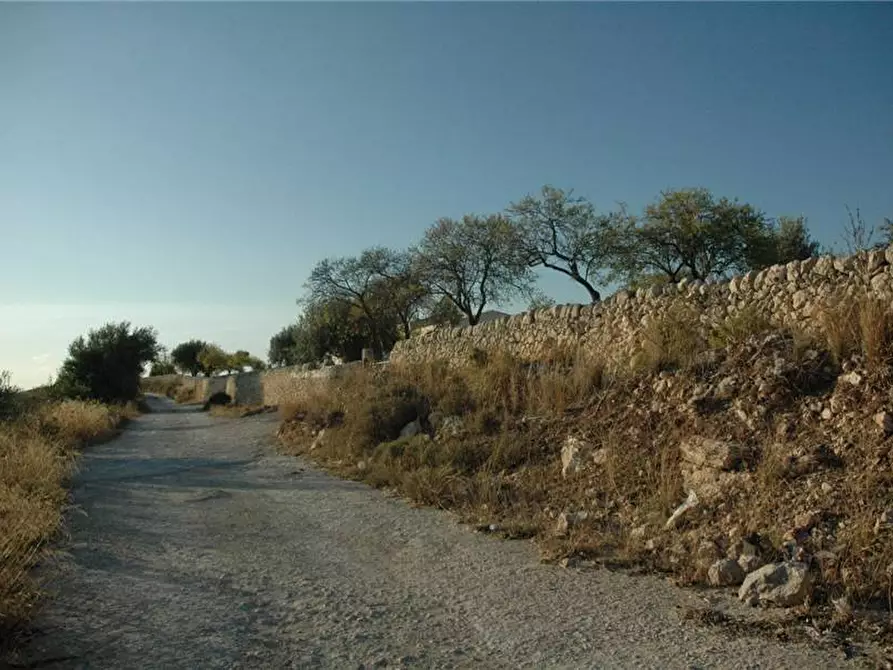 Immagine 9 di Terreno in vendita  in Loc. C/DA GARERI, SN a Pachino
