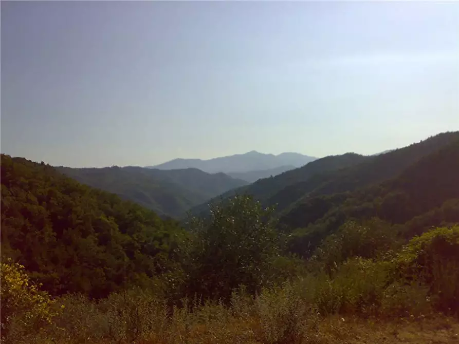 Immagine 4 di Rustico / casale in vendita  in Loc. BAIARDO, SN a Baiardo