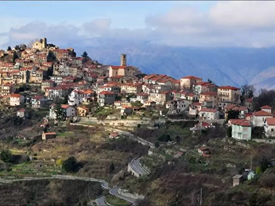 Immagine 9 di Rustico / casale in vendita  in Loc. BAIARDO, SN a Baiardo