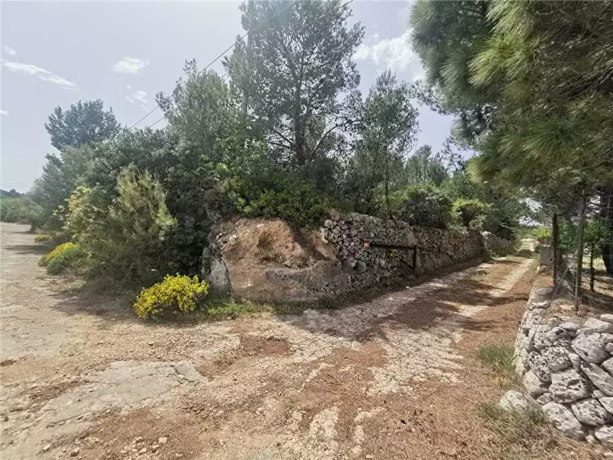 Immagine 2 di Terreno in vendita  in Loc. PIANO MILO, SN a Noto