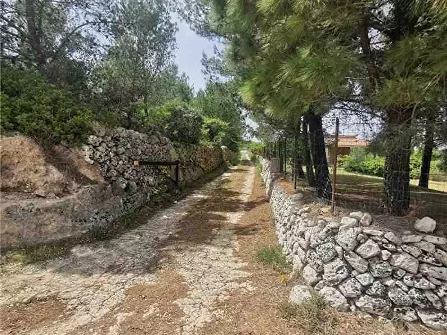 Immagine 3 di Terreno in vendita  in Loc. PIANO MILO, SN a Noto