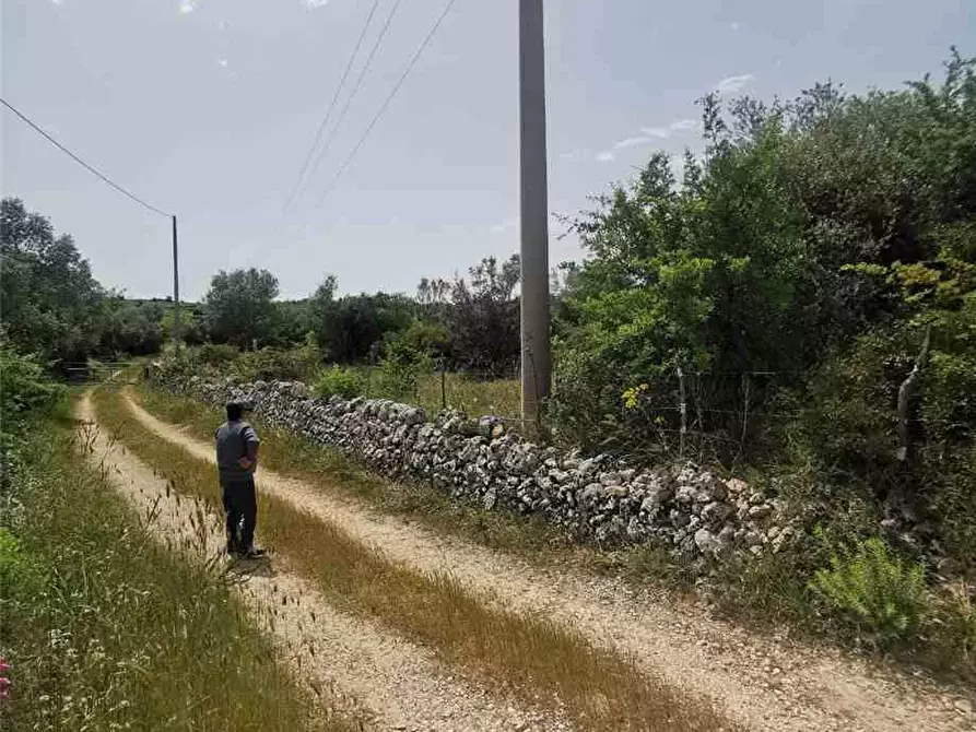 Immagine 5 di Terreno in vendita  in Loc. PIANO MILO, SN a Noto