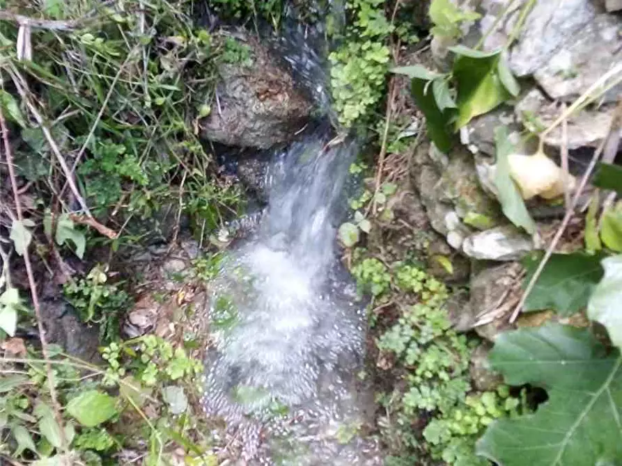 Immagine 13 di Terreno in vendita  in Loc. FIUMARELLA, SN a Avola