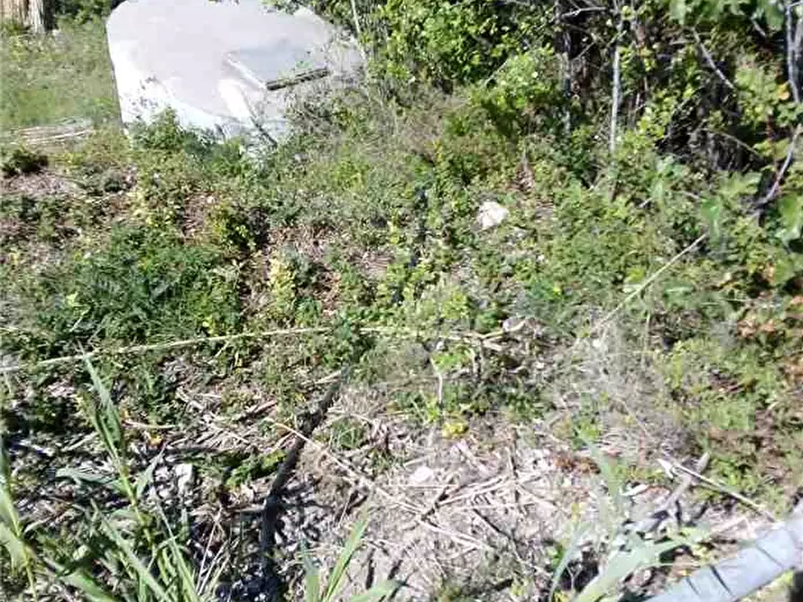 Immagine 14 di Terreno in vendita  in Loc. FIUMARELLA, SN a Avola