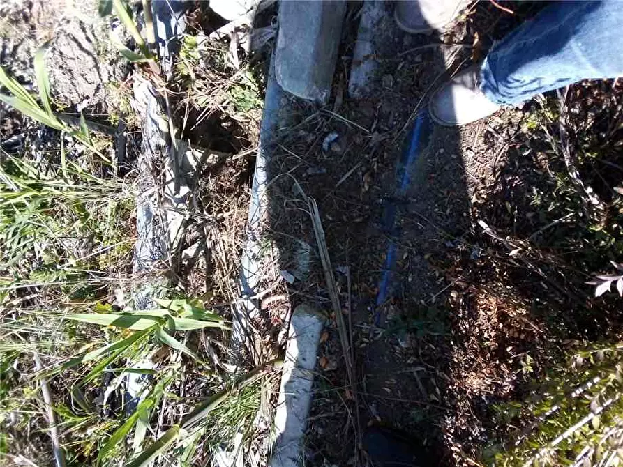 Immagine 2 di Terreno in vendita  in Loc. FIUMARELLA, SN a Avola
