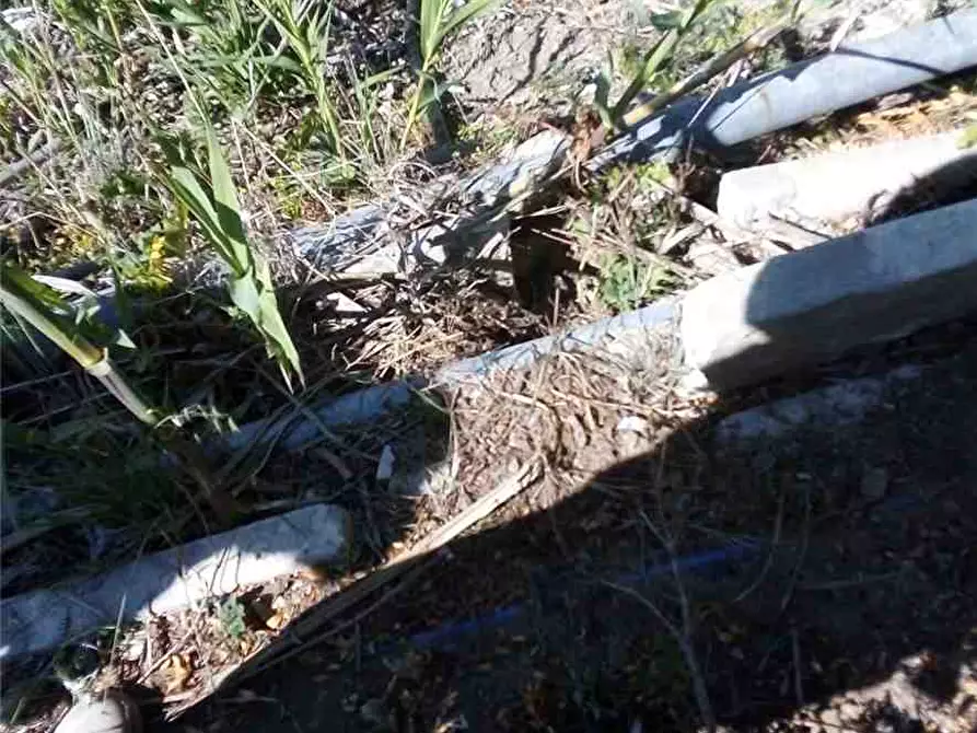 Immagine 5 di Terreno in vendita  in Loc. FIUMARELLA, SN a Avola