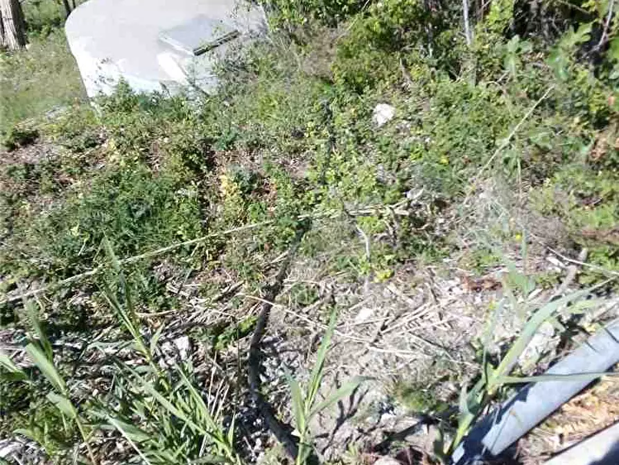 Immagine 8 di Terreno in vendita  in Loc. FIUMARELLA, SN a Avola