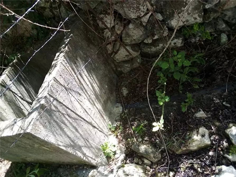 Immagine 9 di Terreno in vendita  in Loc. FIUMARELLA, SN a Avola